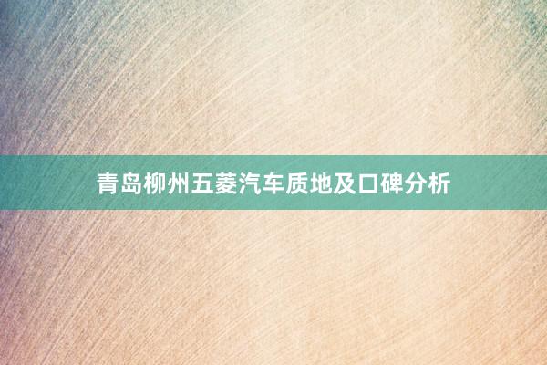 青岛柳州五菱汽车质地及口碑分析